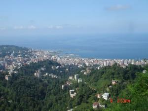 Rize (14)